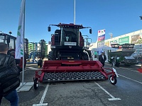 31-� ������������� �������� �������������������� �������, ������������ � ���������� ��� ������������ � ����������� ����������������� ���������������� �������-2024�