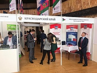 � ������������������ ������������ �������� 2019 ���������������