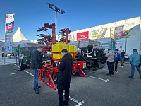 31-� ������������� �������� �������������������� �������, ������������ � ���������� ��� ������������ � ����������� ����������������� ���������������� �������-2024�