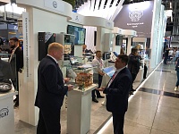 ������������� ������������ �������� ��������̻