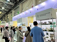 31-� ������������� �������� ����������-������������� ������� �InterCHARM�