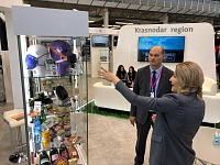 ������������� ������������ �������� ��������̻