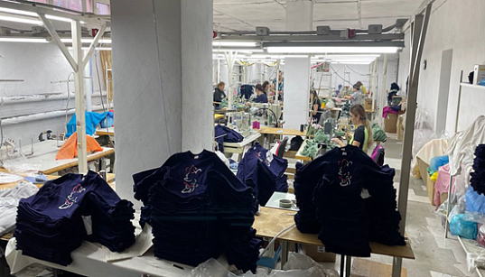 Заемное финансирование на приобретение товарно-материальных ценностей ООО «Клеопатра-Стиль» Заемное финансирование на приобретение товарно-материальных ценностей ООО «Клеопатра-Стиль»