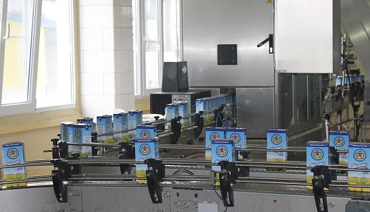 Заемное финансирование на приобретение товарно-материальных ценностей ООО фирма «Калория» Заемное финансирование на приобретение товарно-материальных ценностей ООО фирма «Калория»