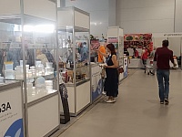 ���������������� ��������  ���������� �������