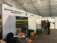 ������������������ �������� ������������ � ���������� ����������, ������������, ������ � ��������� ��������� ��������������. ���������������. �������л