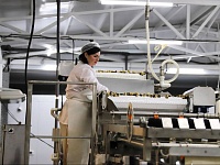 ���� �������� �������������� �������������� ���� ��������� �������������� �� ����� ����� 595 ��������� ������