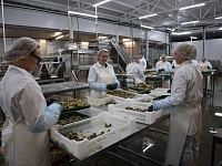 ���� �������� �������������� �������������� ���� ��������� �������������� �� ����� ����� 595 ��������� ������