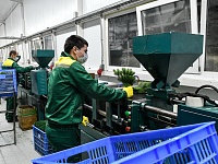 ��������� ������������ ��������������� �������������� ���� �������� ����������� � �������� ����� ������� ���������