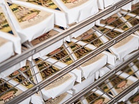 � ������� ������������� �� ������ ������������� ����� ������������� ������������ ���������