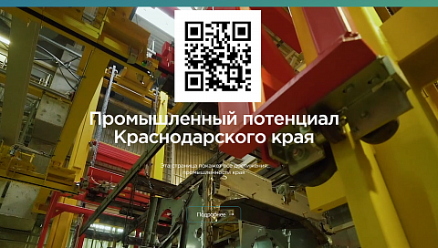 Более 2,5 тысяч товаров и услуг вошли в краевой онлайн каталог производителей Краснодарского края