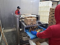 ������� 75 ��� ������ �������� �� ���������� ������������ �������� �������������� ����