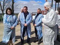 Старт второй волны нацпроекта "Повышение производительности труда и поддержка занятости" в Краснодарском крае