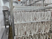 �� ������ � ������������� ��������� ���� �������������� � ���������������� �����������