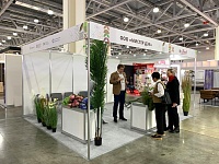 ��������� ������������ ����������� ������������� ���� ��������� �� ��������  ���� �����