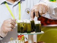 Краснодарский край примет Международный форум «БИОПРОМ: промышленность и технологии для человека»