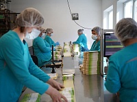 �������� ����� �� ����� 185 ��������� ������ ����������� ���������������� ������������ �������������� ����